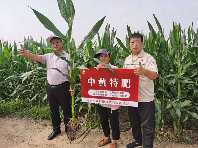 为什么刘大姐要选择中黄特肥玉米磷酸二氢钾叶面肥？