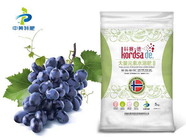 葡萄落果啥原因?上啥肥料好?