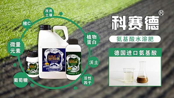 发财树为何会黄叶?用什么肥料长得旺盛?