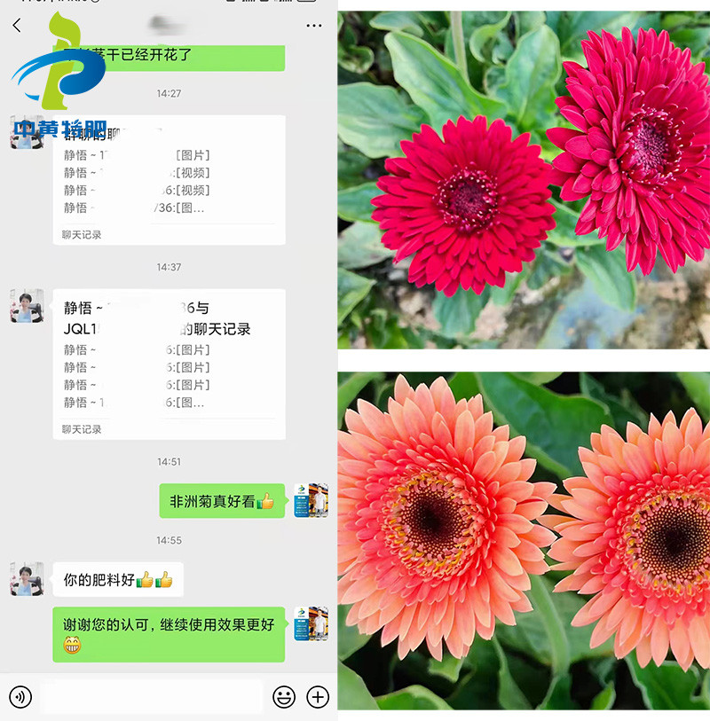 水溶肥品牌哪个好?中黄特肥值得选择