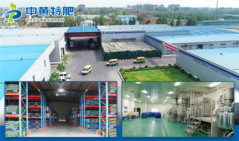 郑州比较有名的水溶肥厂家中黄特肥好在?