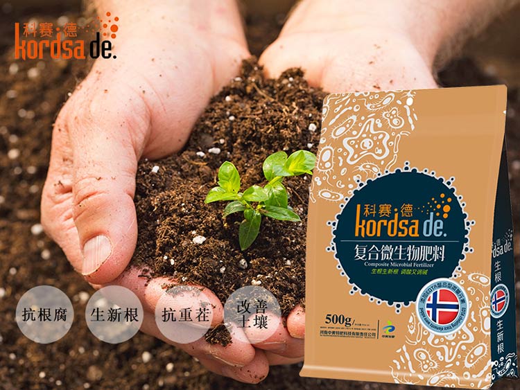 河南中黄特肥的微生物菌肥