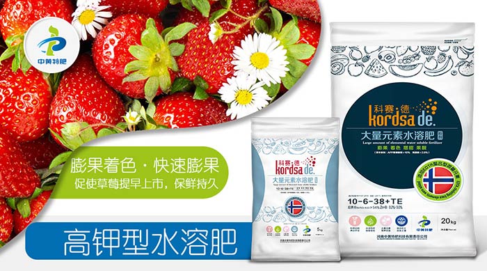 科赛德大量元素水溶肥