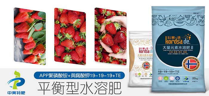科赛德大量元素水溶肥